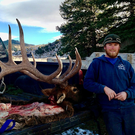 Hunter by pickup truck with elk carcass and massive antlers