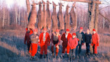 Group of hunters in red gear standing before seven deer hung by antlers on a pole in a field