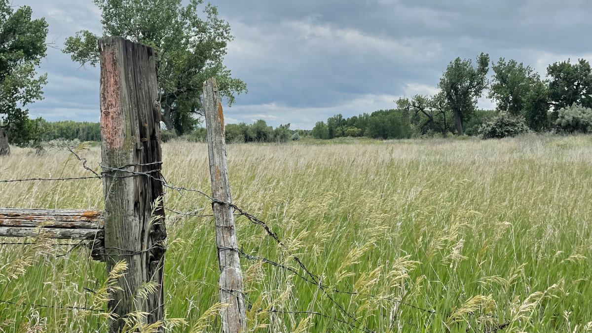 MeatEater’s Auction House of Oddities to Support Wildcat Bend an Overwhelming Success