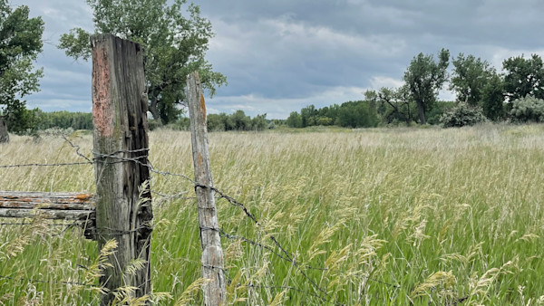 MeatEater’s Auction House of Oddities to Support Wildcat Bend an Overwhelming Success