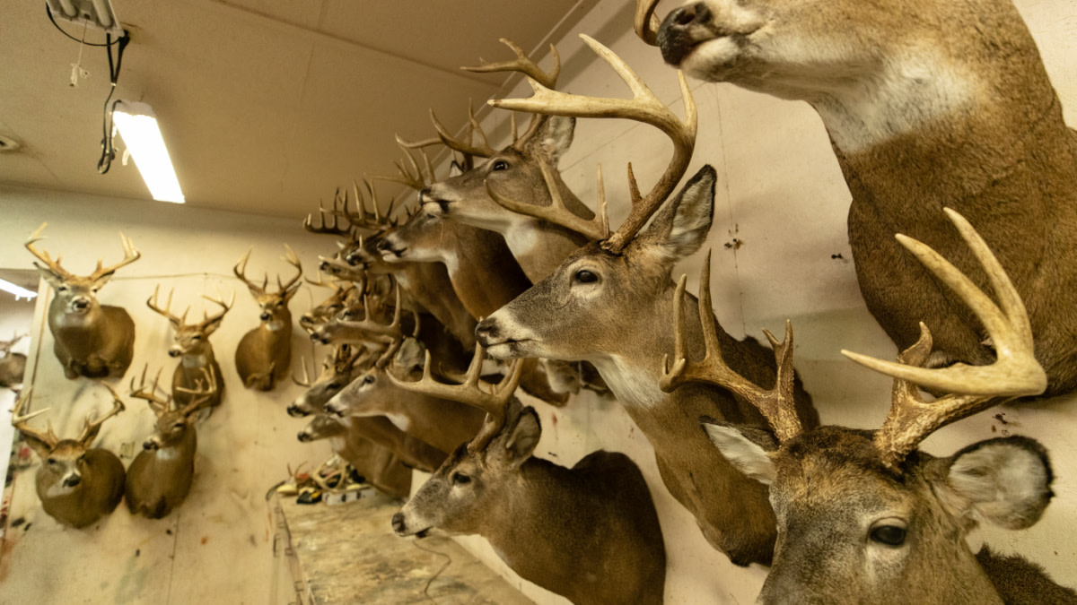 Are the Good ‘Ol Days of Whitetail Hunting Over?