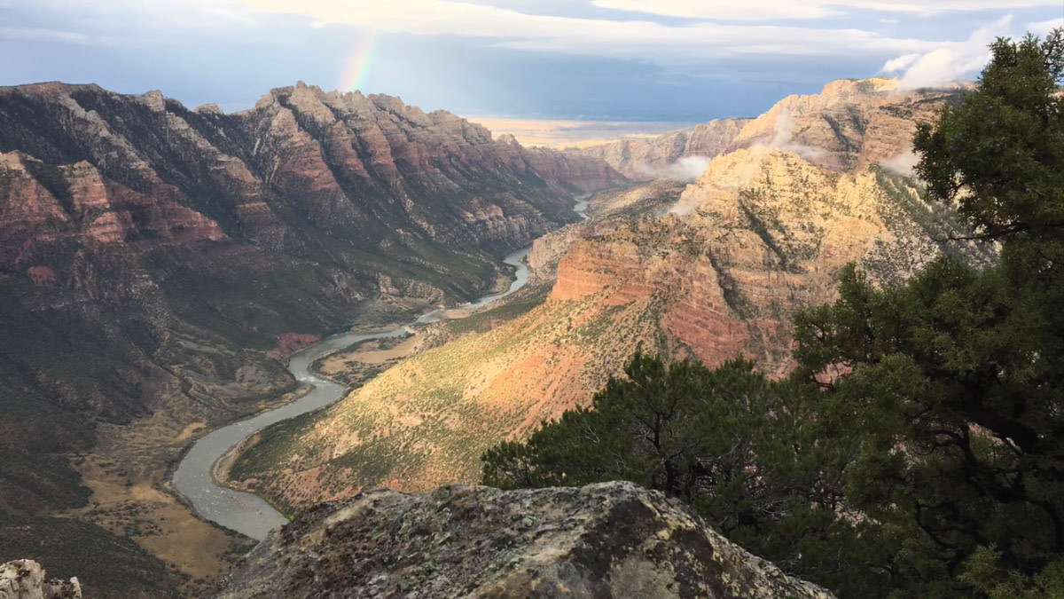 4 Best Theories on Forrest Fenn’s Treasure Location