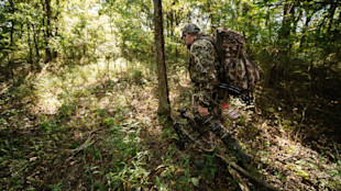 Hunter carrying compound bow and large backpack walking through sunlit woods