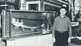 Man standing beside large mounted fish in glass case outside store with SHOP sign