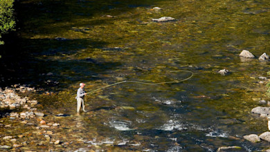 Angler fly-fishing in shallow rocky river wearing waders, casting a long line
