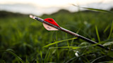Bloodied arrow with red and white fletching marked "NW" lying in tall grass