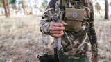 Why Patient Hunters Kill More Turkeys