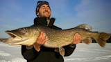 Best Baits for Ice Fishing Pike