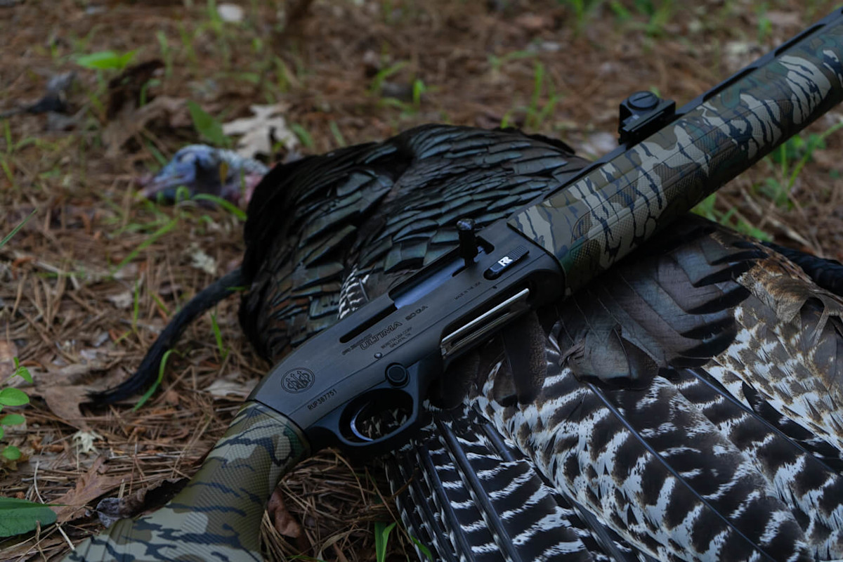 Camouflaged shotgun on a harvested wild turkey on pine-needle forest floor
