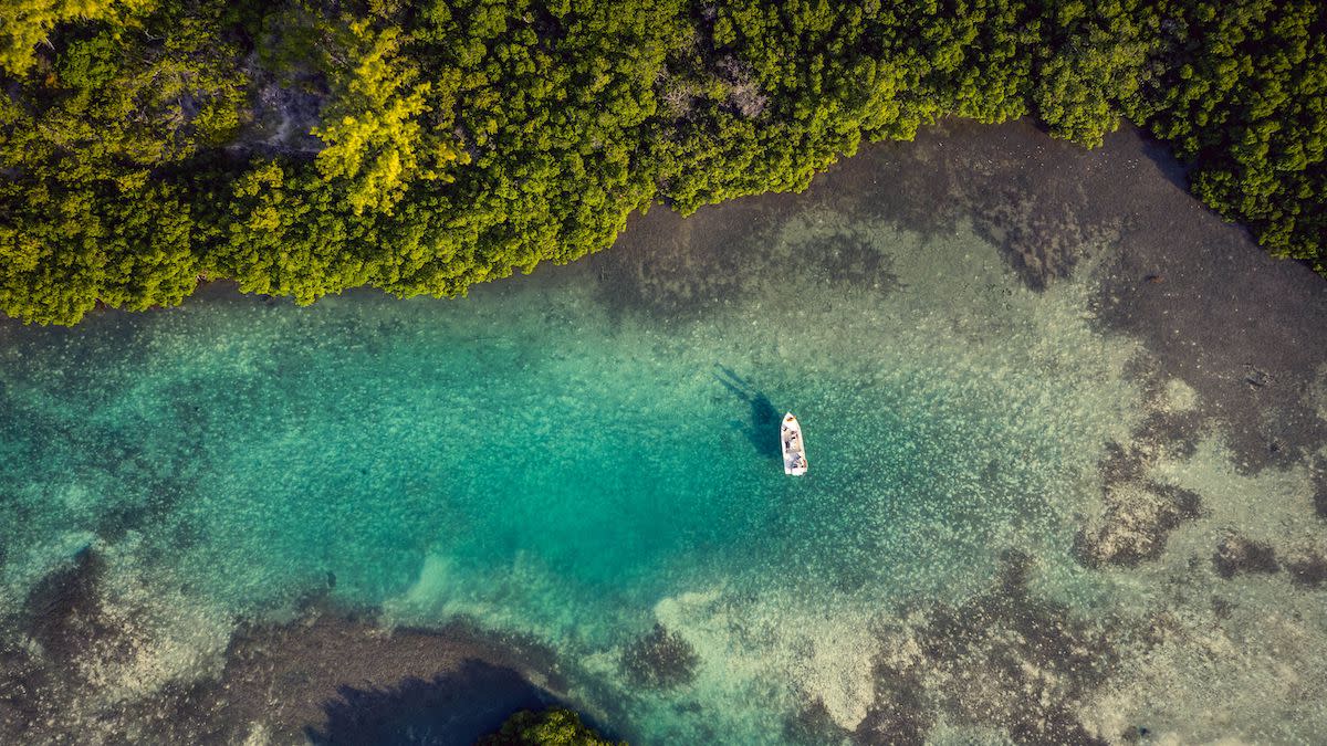 Mountain in the Mangroves: Dr. Martin Luther King Jr. and His Bahamian Bonefish Guide