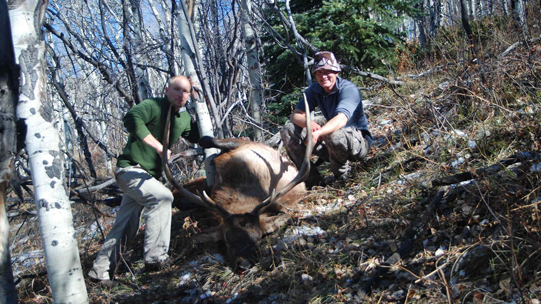 Tips for Decoying and Calling Big Game