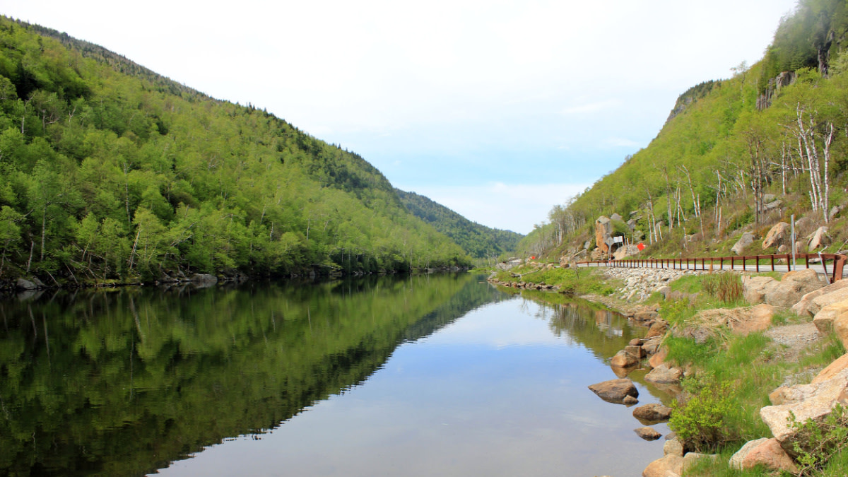 Calm mountain lake reflecting green tree-covered hills, with a narrow road and guardrail along the right shore.