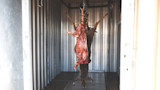 Deer carcass and hide hanging upside down inside metal processing shed