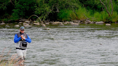 Man wading in river casting a bent fly rod with line arcing toward the water
