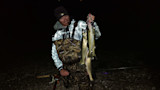 Angler at night holding four walleye on a stringer, wearing camo waders, reflective jacket, headlamp