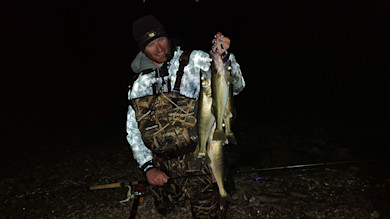 Angler at night holding four walleye on a stringer, wearing camo waders, reflective jacket, headlamp