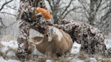 5 Best Exercises for Whitetail Hunters