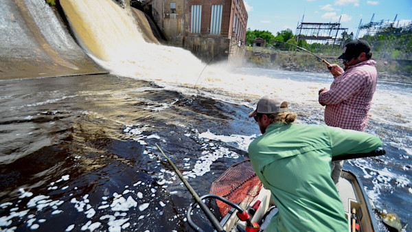 Fly Fishing Rod Weight, Action, and Flex Explained