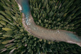Aerial view of a winding river cutting through dense evergreen forest.