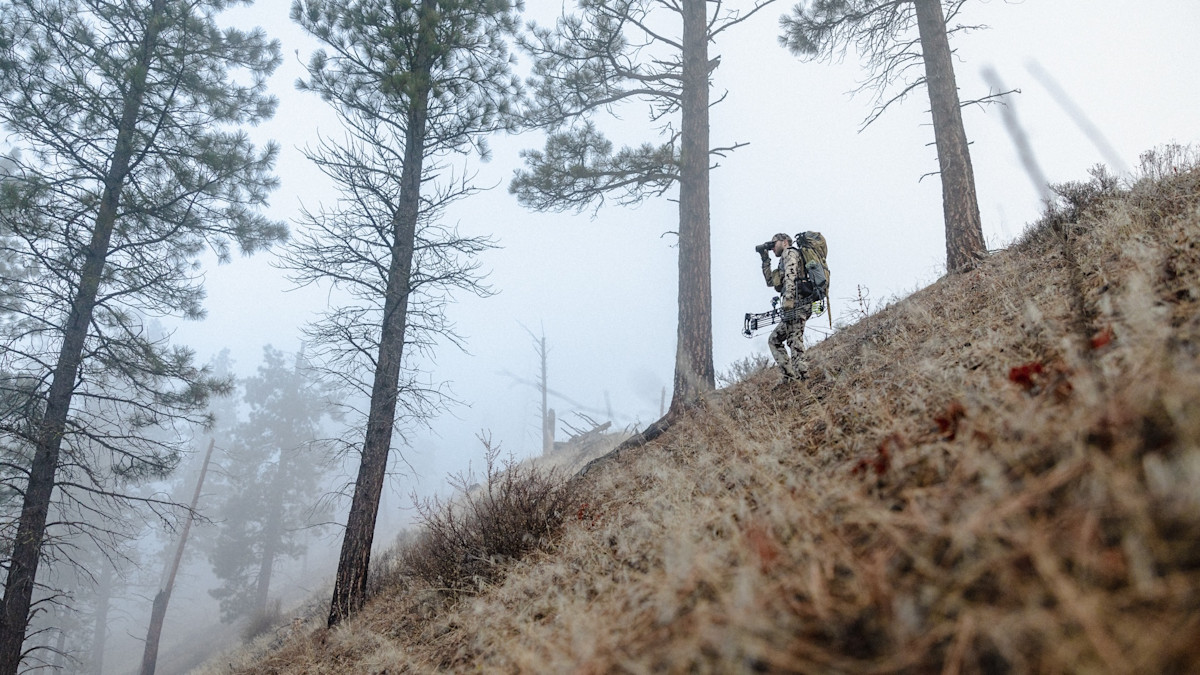 Laid-Off Forest Service Workers Describe Dismal Future for Public Lands