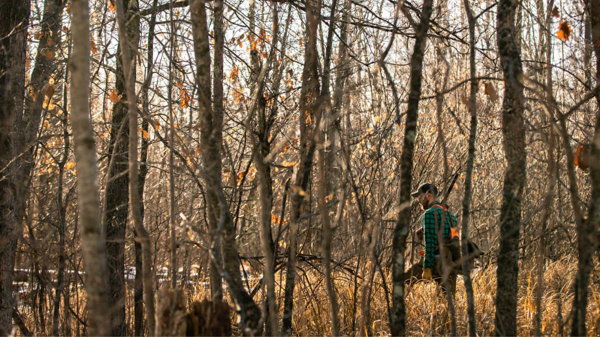 Ask a Warden: What Day Do You Write the Most Tickets?