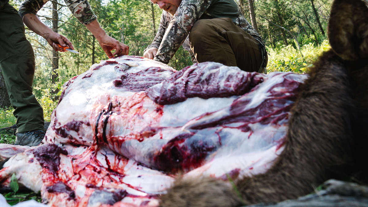 Elk Hunting Confrontation Ends with Assault and Robbery