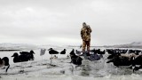 Video: How to Duck Hunt with Silhouettes and Coffin Blinds