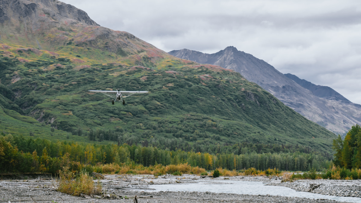 The Leading Cause of Wildlife Biologist Deaths