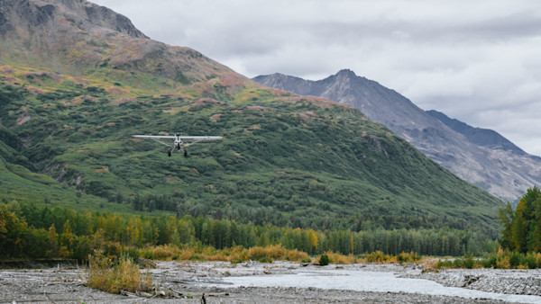 The Leading Cause of Wildlife Biologist Deaths