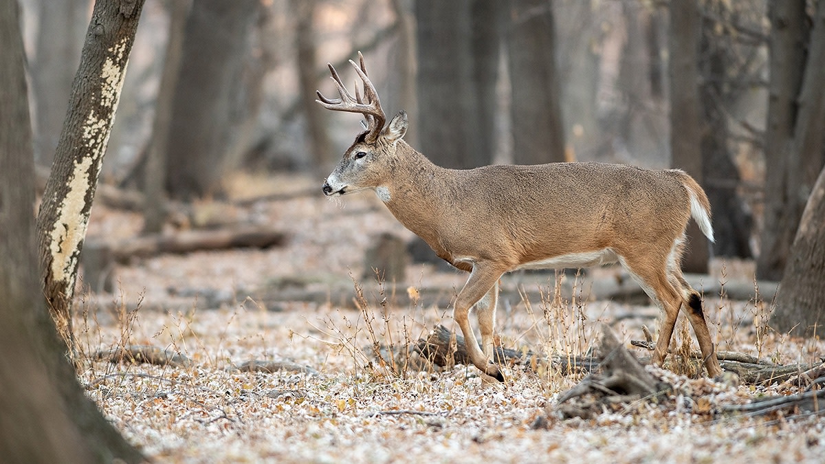 Which Scrapes Matter During Offseason Scouting