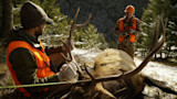 Bull elk with large antlers and two hunters in orange vests in snowy forest