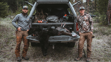 Two hunters by truck tailgate with bear carcass and turkeys; cap patch reads "Bear Grease"