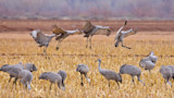 AdobeStock_422932821.jpeg