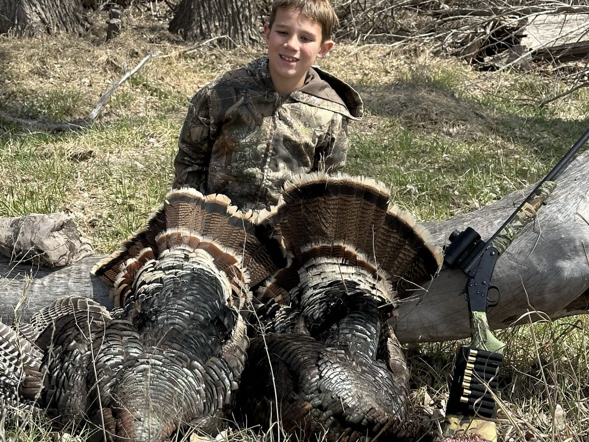 Two harvested wild turkeys with a young hunter kneeling behind and a shotgun on a log