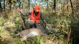 What Makes an Ideal Whitetail Hunting Bullet?