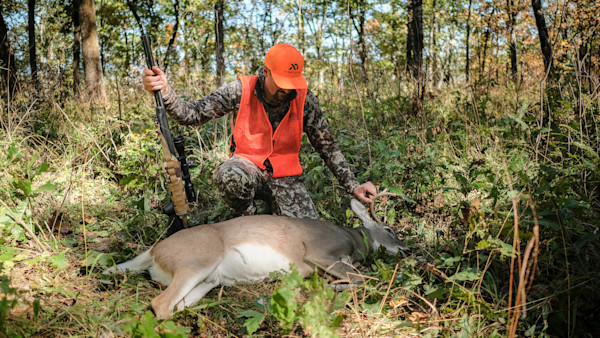 What Makes an Ideal Whitetail Hunting Bullet?
