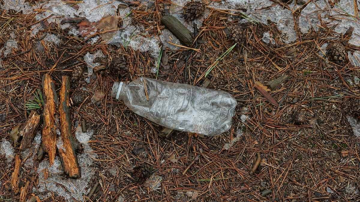 The Plague of America's Wild Spaces