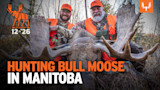 MEP_12n26_YT_BR_MOOSE_2.jpg