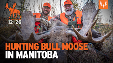 MEP_12n26_YT_BR_MOOSE_2.jpg