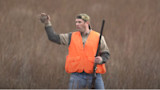 Hunter in orange safety vest holding shotgun and a live bird caught with bare hand in tall grass