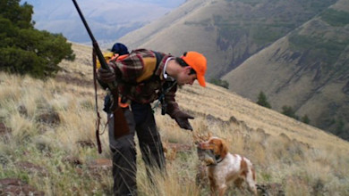 Hunter in orange cap with rifle leans toward dog holding a game bird on a grassy slope