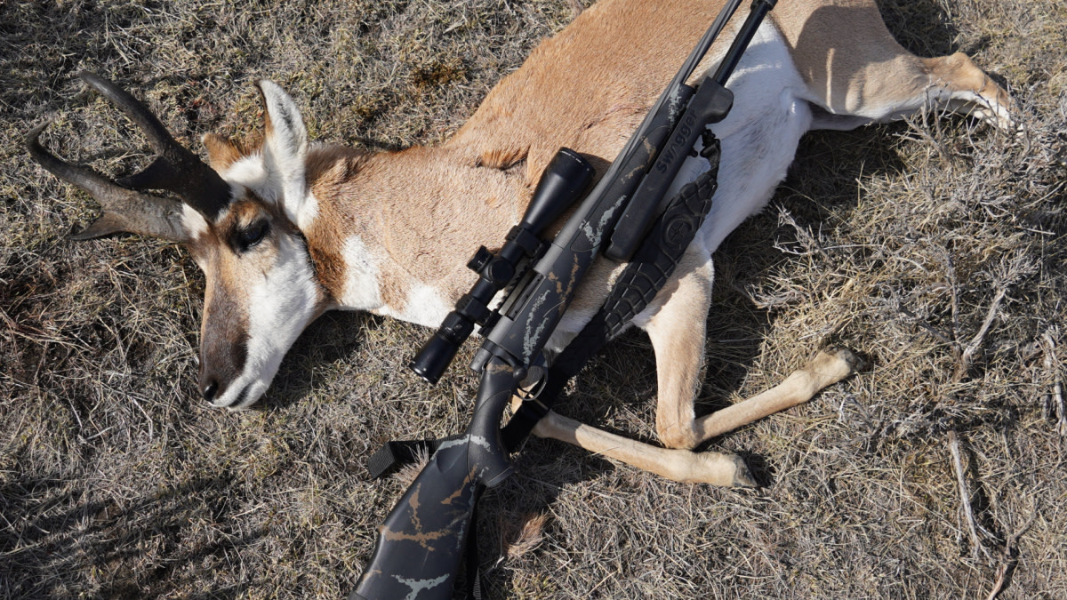 .270 Win. vs. .243 Win.