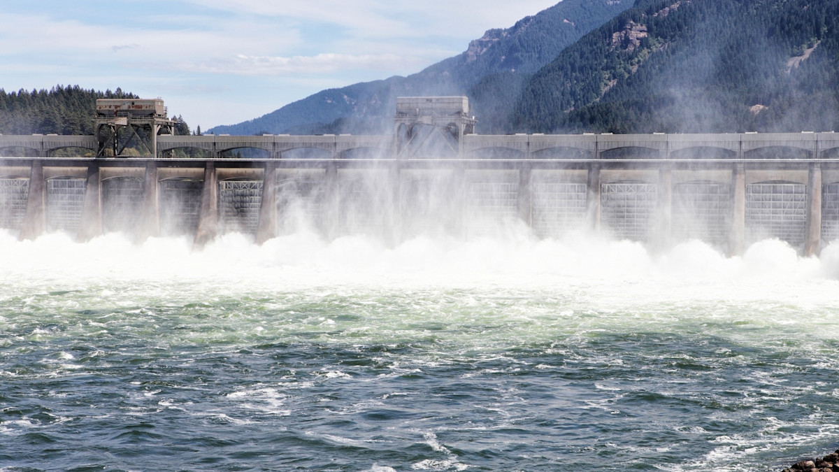 New Oregon Fish and Wildlife Director Talks Wolves, Bears, and Dams in Exclusive Interview