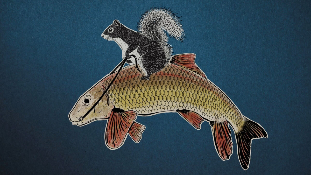 Every Question From MeatEater Trivia VI