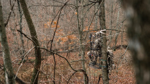 Opinion: Saddles Will Never Replace Tree Stands