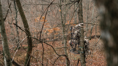 Opinion: Saddles Will Never Replace Tree Stands