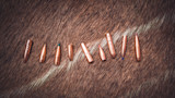 Assorted copper rifle bullets lined on brown animal hide