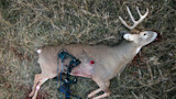 How to Kill a Nocturnal Buck