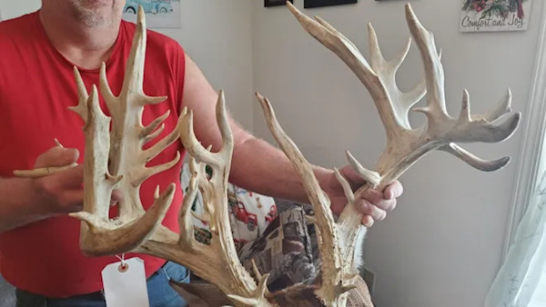 ‘I’m Stupid, Yes.’ Wisconsin Man Busted After Trying to Pass Off 49-Point Game Farm Buck for State Record