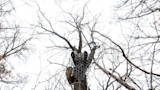 Is It Time To Ditch Your Treestand?